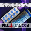 Männliche Seidenraupenmotte, Die Orale Flüssigkeit Nährt 40